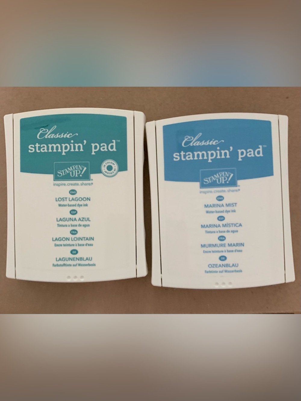 Stampin' Up! Classic Stampin' Pads in Lost Lagoon & Marina Mist. New & Juicy